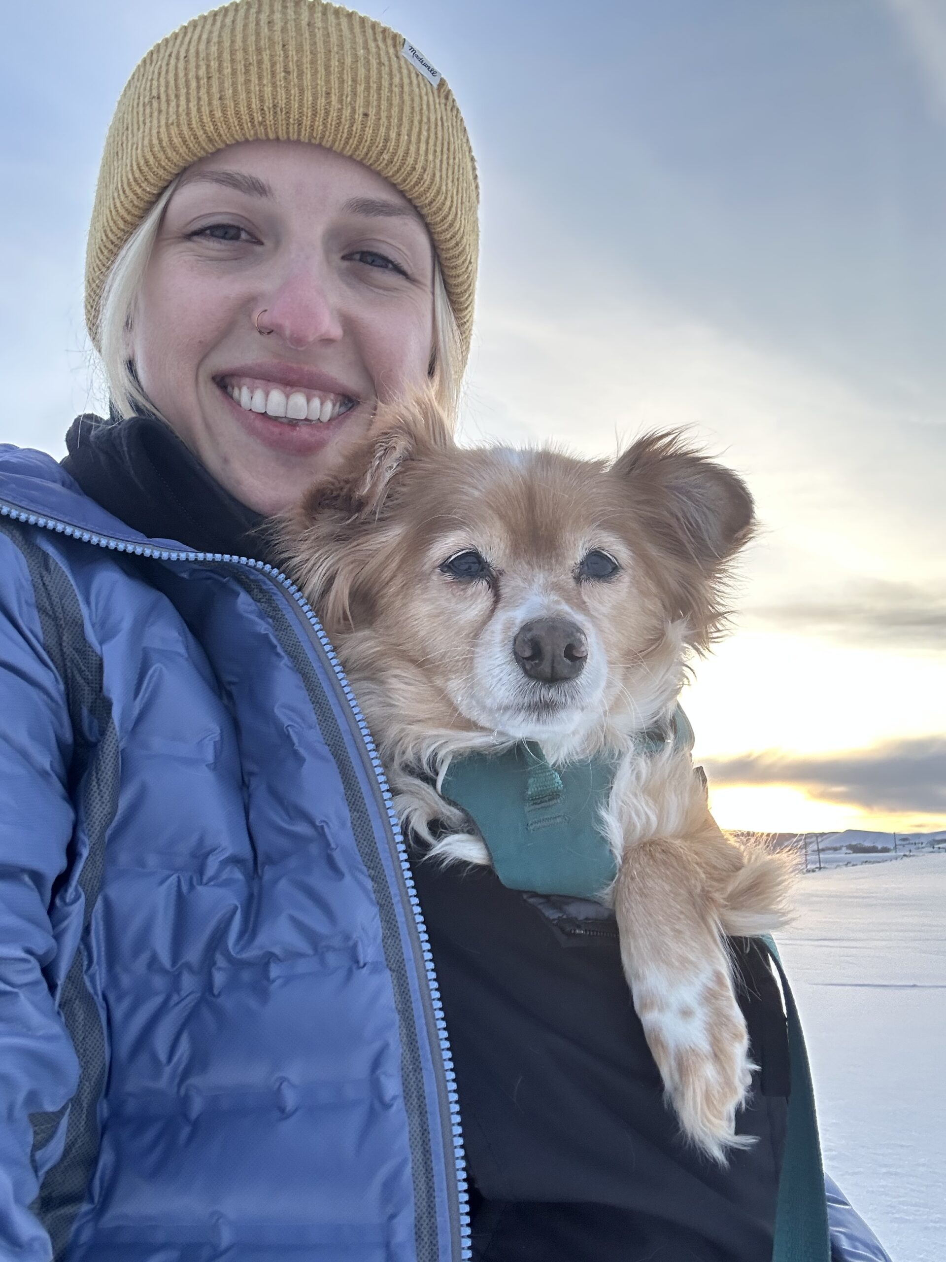 Asheville Therapist